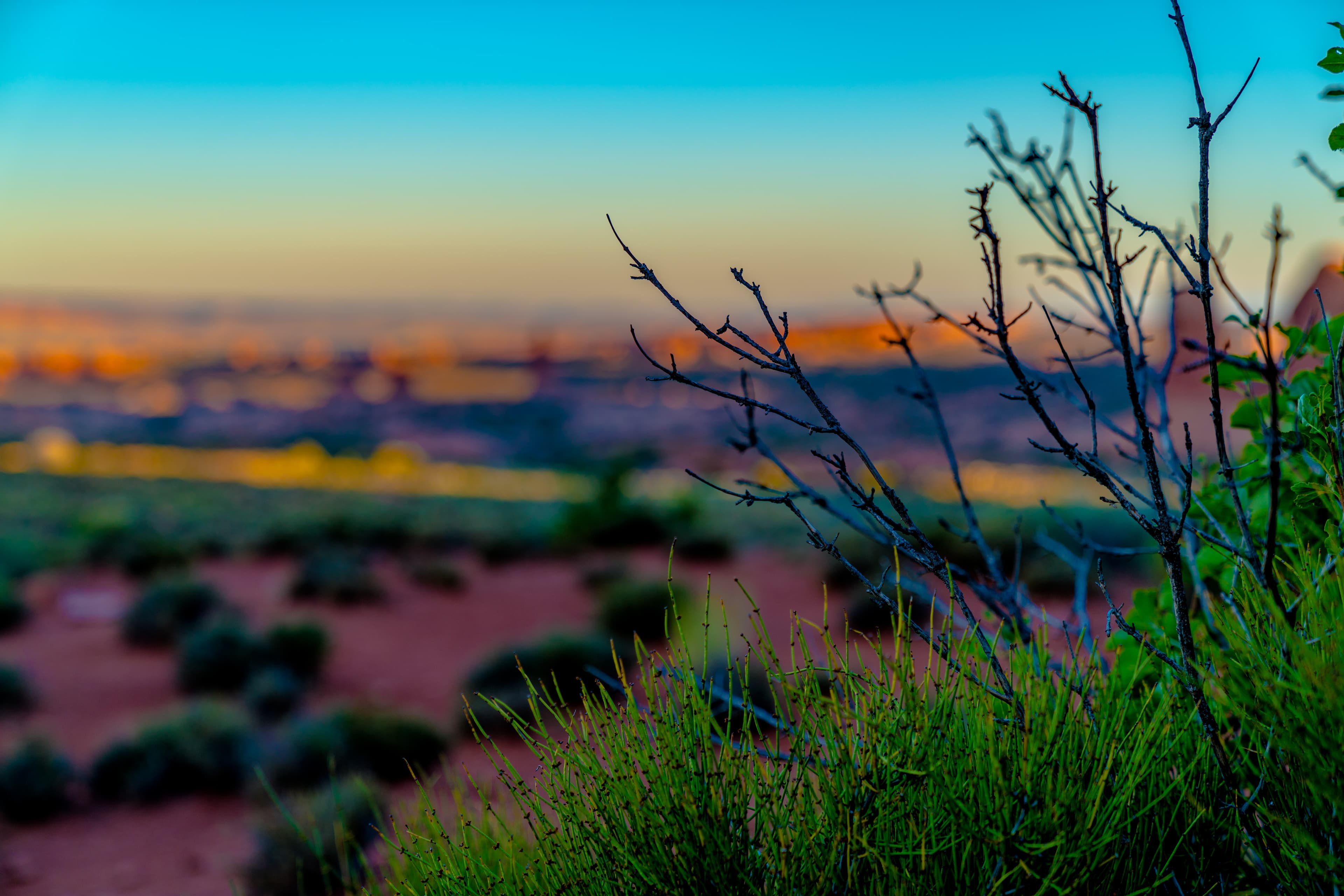 Arizona desert landscape at dusk — vast, structured, and clear